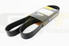 Imagem de 8PK1345 - CORREIA - POLY V - CONTINENTAL