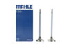 Imagem de 3940734 - VALVULA - ESCAPE S/TRAVA - MAHLE-M.LEVE