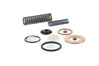 Imagem de 272970 - KIT - REPARO - SKF