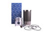 Imagem de 97268960 - KIT - MOTOR MWM D-225/4/6 K0910 - KSPG