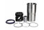 Imagem de 41980961 - KIT - MOTOR VOLVO MOTOR MD13 EURO V / D13C EURO IV/V (460/540) K9834 - KSPG