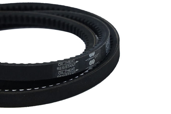 Imagem de 13X1450 - CORREIA - DENTADA - FORTRACTOR PARTS