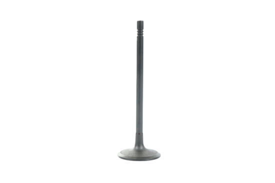 Imagem de 3096678 - VALVULA - ADMISSAO - FORTRACTOR PARTS