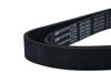 Imagem de 8PK1605 - CORREIA - POLY V - FORTRACTOR PARTS