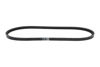 Imagem de 13X1080 - CORREIA - DENTADA - FORTRACTOR PARTS