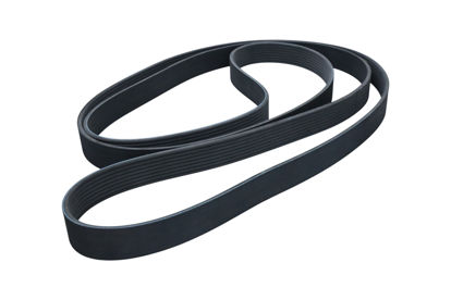 Imagem de 8PK2830 - CORREIA - POLY V - FORTRACTOR PARTS