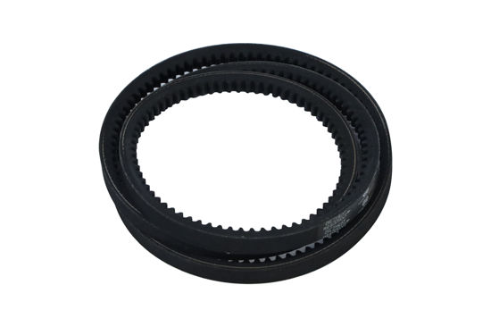 Imagem de 13X1450 - CORREIA - DENTADA - FORTRACTOR PARTS