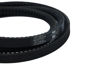 Imagem de 13X1450 - CORREIA - DENTADA - FORTRACTOR PARTS