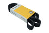 Imagem de 8PK1816 - CORREIA - POLY V - FORTRACTOR PARTS