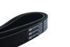 Imagem de 8PK1550 - CORREIA - POLY V - FORTRACTOR PARTS