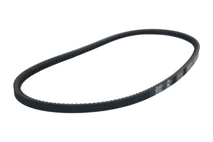 Imagem de 2115172 - CORREIA - DENTADA - FORTRACTOR PARTS