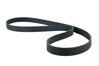 Imagem de 8PK1490 - CORREIA - POLY V - FORTRACTOR PARTS