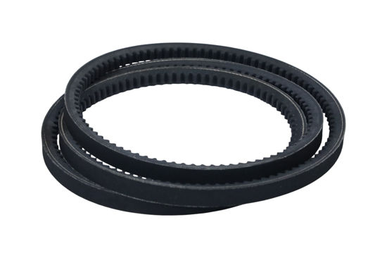 Imagem de 13X1980 - CORREIA - DENTADA - FORTRACTOR PARTS