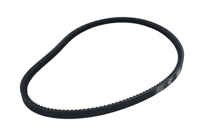 Imagem de 13X950 - CORREIA - DENTADA - FORTRACTOR PARTS