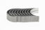 Imagem de C6204298100 - JOGO BRONZINA - MANCAL 025 B 3.3 - FORTRACTOR PARTS