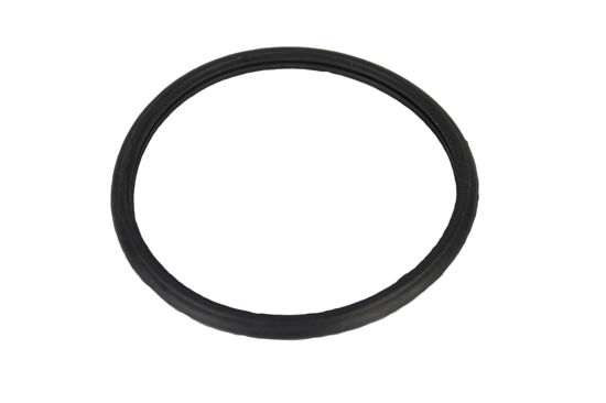 Imagem de 3954829 - ANEL - TERMOSTATO - FORTRACTOR PARTS