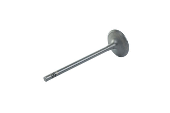 Imagem de 3096678 - VALVULA - ADMISSAO - FORTRACTOR PARTS