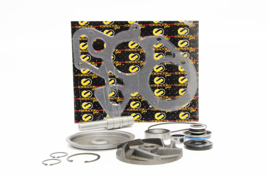 Imagem de 2340636 - REPARO - BOMBA - FORTRACTOR PARTS