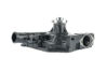 Imagem de 5254965 - BOMBA - DAGUA QSB3.3 - FORTRACTOR PARTS
