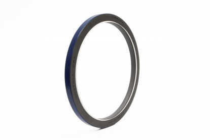 Imagem de 1138433 - RETENTOR - TRASEIRO - FORTRACTOR PARTS