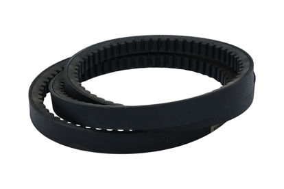 Imagem de 23X1955 - CORREIA - DENTADA - FORTRACTOR PARTS