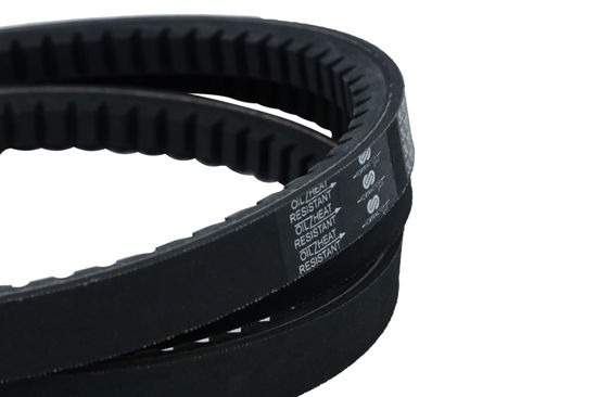 Imagem de 23X2159 - CORREIA - DENTADA - FORTRACTOR PARTS