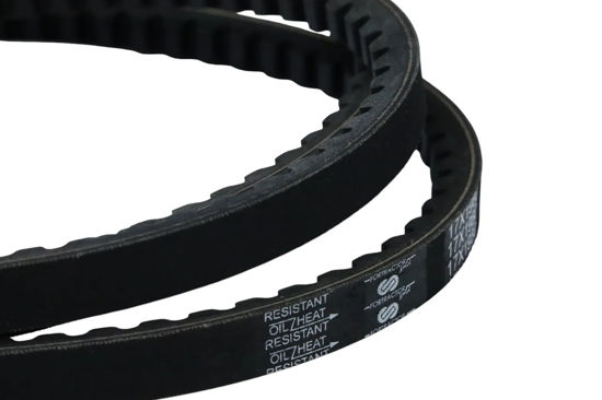 Imagem de 23X1955 - CORREIA - DENTADA - FORTRACTOR PARTS