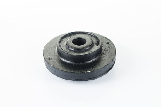 Imagem de 2666300 - COXIM - MOTOR - FORTRACTOR PARTS
