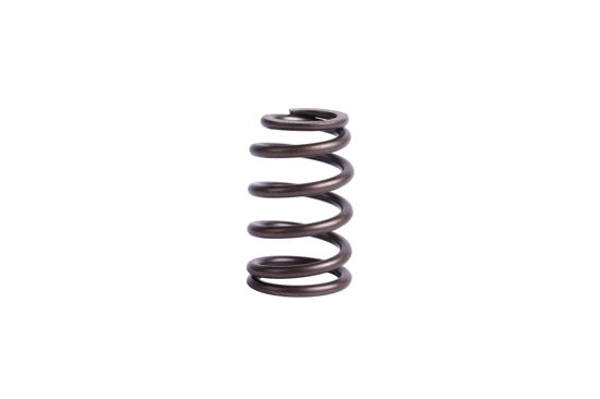 Imagem de 4360519 - MOLA - VALVULA - FORTRACTOR PARTS