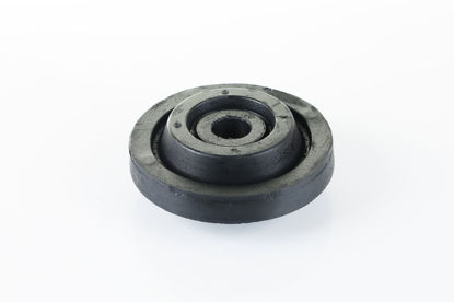 Imagem de 2666300 - COXIM - MOTOR - FORTRACTOR PARTS